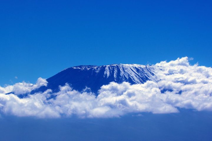 kilimanjaro