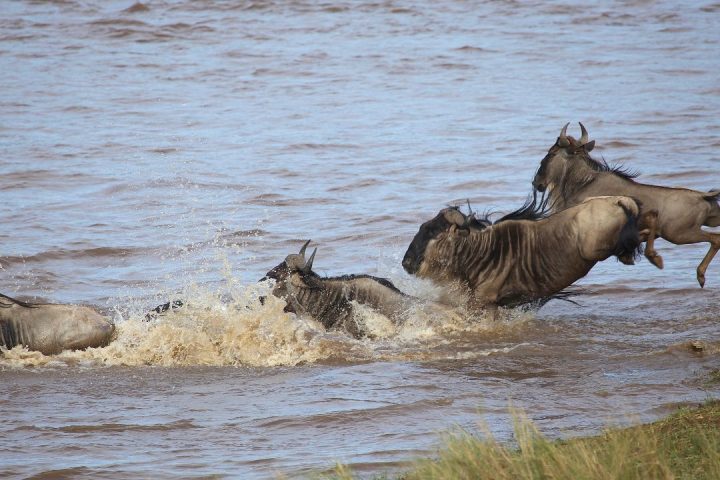 River crossing